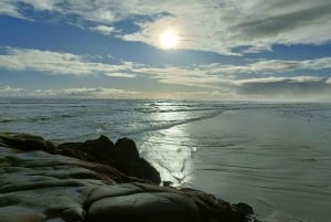 'By, kyst og land' – en afslappet dagstur fra Auckland