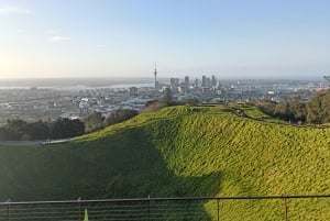 'By, kyst og land' – en afslappet dagstur fra Auckland