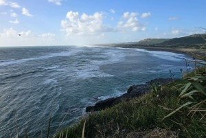 'By, kyst og land' – en afslappet dagstur fra Auckland