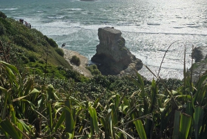 'By, kyst og land' – en afslappet dagstur fra Auckland