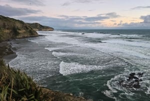 'By, kyst og land' – en afslappet dagstur fra Auckland