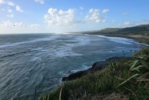 “Coast & Country” – A Relaxed Day Tour from Auckland
