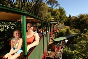 Driving Creek Railway and Potteries