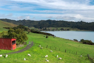 Passeios a pé pelo Duder Regional Park