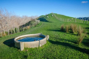 Passeios a pé pelo Duder Regional Park