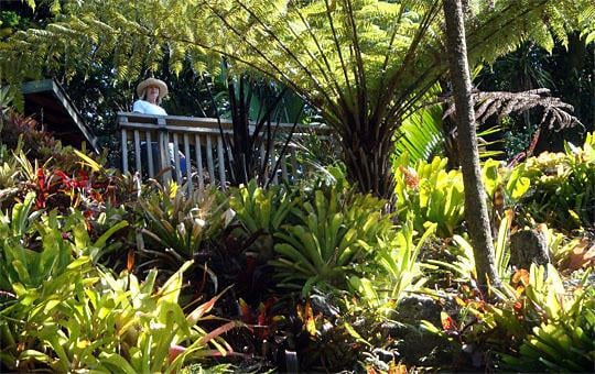 Eden Garden in Auckland | My Guide Auckland