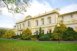 Explore Auckland’s Fine Arts Heritage – Private Tour by Car