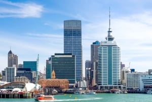 Explore Auckland’s Fine Arts Heritage – Private Tour by Car