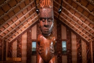 From Auckland: 6-Day Northland Tour with German Guide
