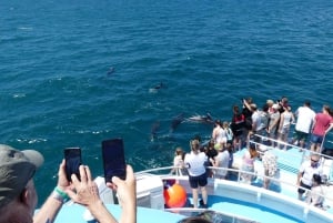 From Auckland: 6-Day Northland Tour with German Guide