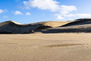 From Auckland: 6-Day Northland Tour with German Guide