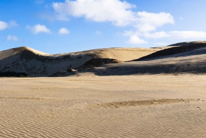 Из Окленда: 6-дневный тур по Северной островной провинции с гидом-немецкоговорящим