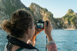 Från Auckland: ALDERMAN ISLANDS (Ruamaahu) dagsutflykt