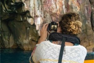 Från Auckland: ALDERMAN ISLANDS (Ruamaahu) dagsutflykt