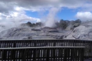 Au départ d'Auckland : Excursion d'une journée à Rotorua avec options supplémentaires