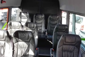 Au départ d'Auckland : Excursion d'une journée à Rotorua avec options supplémentaires