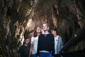 From Auckland: Day Trip to Waitomo Glow Worm Caves