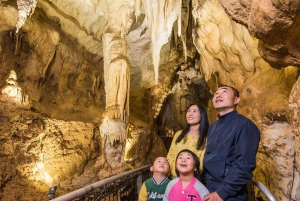 From Auckland: Day Trip to Waitomo Glow Worm Caves