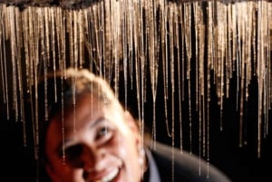 From Auckland: Day Trip to Waitomo Glow Worm Caves
