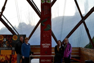 From Auckland: Day Trip to Waitomo Glow Worm Caves