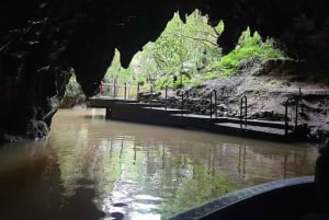 From Auckland: Day Trip to Waitomo Glow Worm Caves