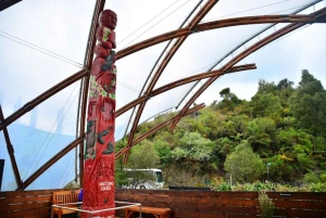 From Auckland: Day Trip to Waitomo Glow Worm Caves