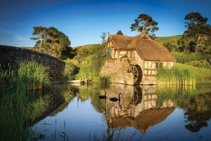 From Auckland: Exclusive Private Tour of Hobbiton