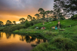 From Auckland: Exclusive Private Tour of Hobbiton