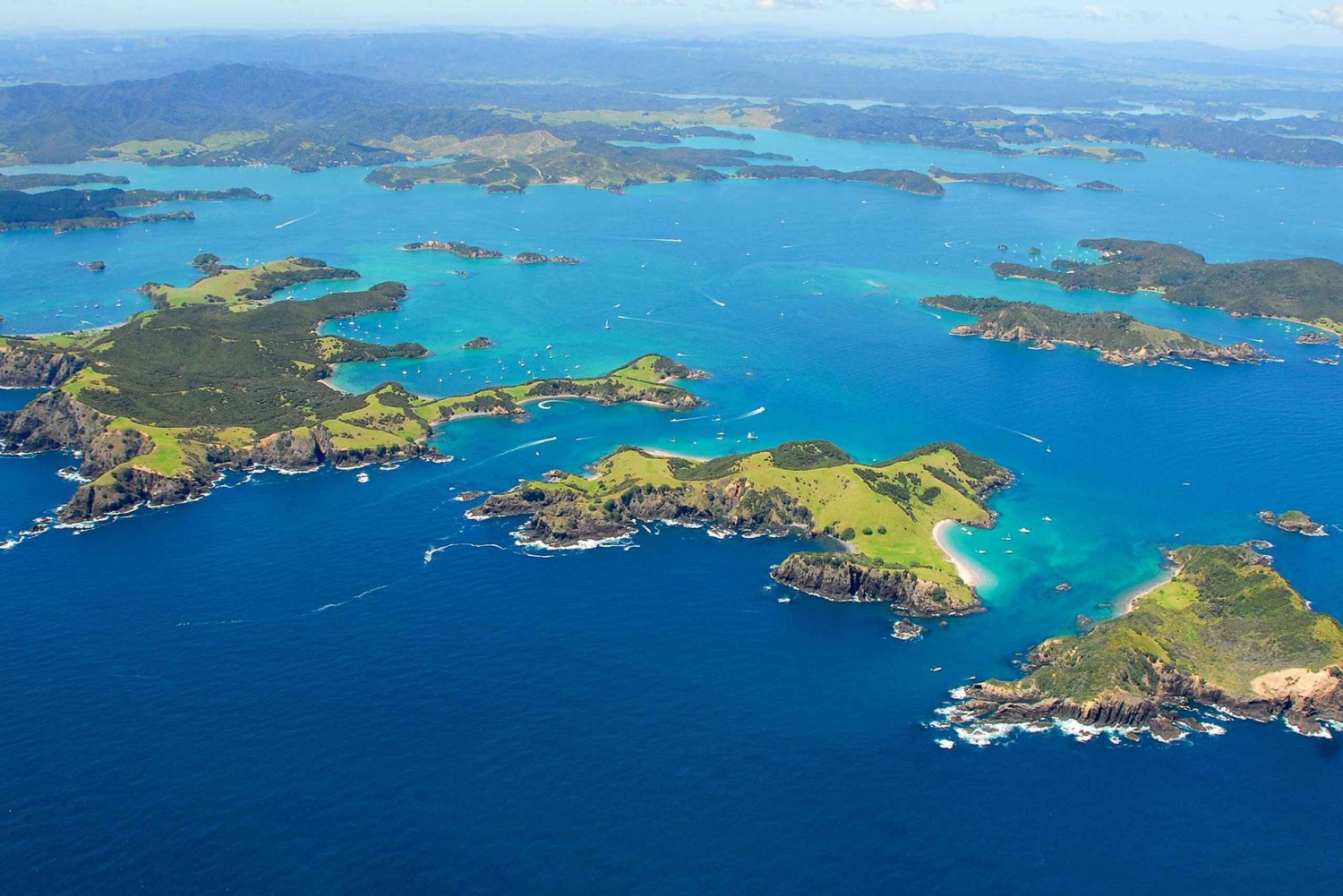 From Auckland: Full Day Private Tour to the Bay of Islands