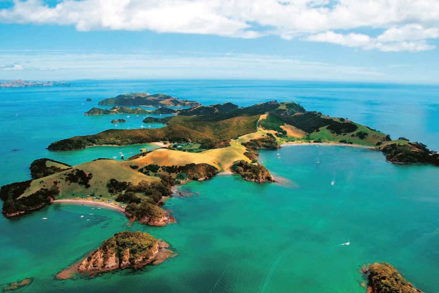 From Auckland: Full Day Private Tour to the Bay of Islands