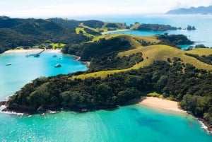From Auckland: Full Day Private Tour to the Bay of Islands