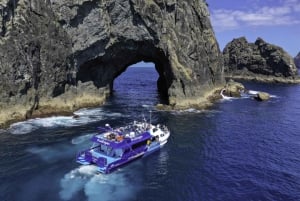 From Auckland: Full Day Private Tour to the Bay of Islands