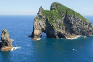 Vanuit Auckland: Dagvullende tour naar de Bay of Islands