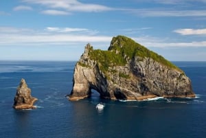 Vanuit Auckland: Dagvullende tour naar de Bay of Islands