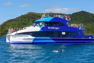 Vanuit Auckland: Dagvullende tour naar de Bay of Islands