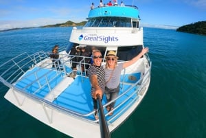 Vanuit Auckland: Dagvullende tour naar de Bay of Islands