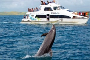 Vanuit Auckland: Dagvullende tour naar de Bay of Islands