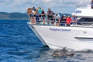 Vanuit Auckland: Dagvullende tour naar de Bay of Islands