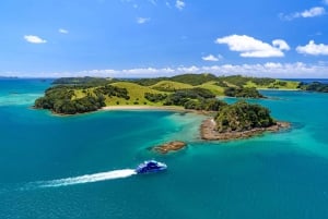 Vanuit Auckland: Dagvullende tour naar de Bay of Islands