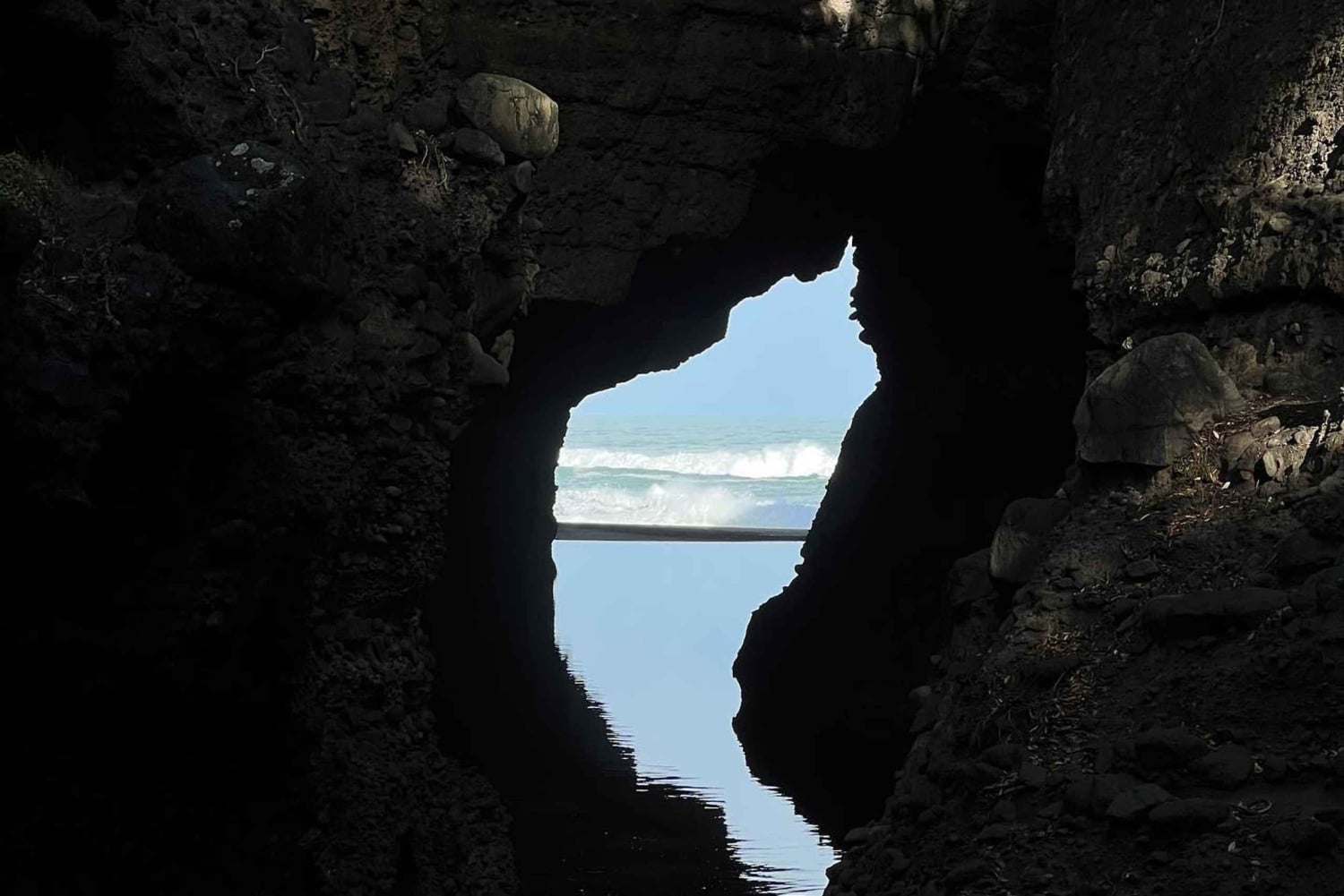 オークランド発：美しいビーチウォーク付きピハのガイド付きツアー