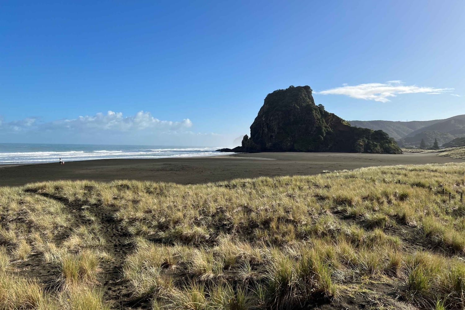オークランド発：美しいビーチウォーク付きピハのガイド付きツアー