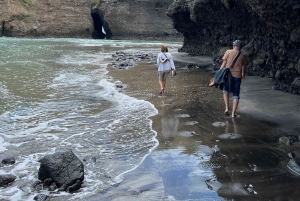 オークランド発：美しいビーチウォーク付きピハのガイド付きツアー