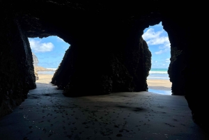 オークランド発：美しいビーチウォーク付きピハのガイド付きツアー