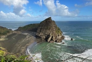 オークランド発：美しいビーチウォーク付きピハのガイド付きツアー