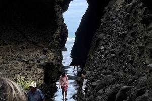 オークランド発：美しいビーチウォーク付きピハのガイド付きツアー