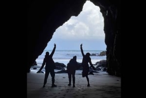 オークランド発：美しいビーチウォーク付きピハのガイド付きツアー