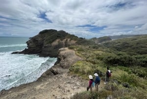 オークランド発：美しいビーチウォーク付きピハのガイド付きツアー