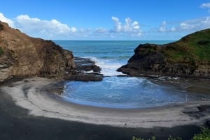 オークランド発：美しいビーチウォーク付きピハのガイド付きツアー