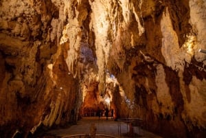 Auckland: Hobbiton & Waitomo Caves -pienryhmäkierros ja lounas
