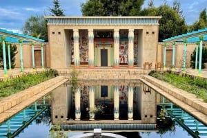 Da Auckland: Tour per piccoli gruppi di Hobbiton e dei Giardini di Hamilton